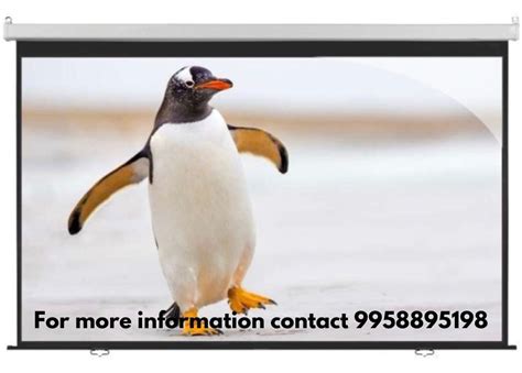 Inlight Projection Screens