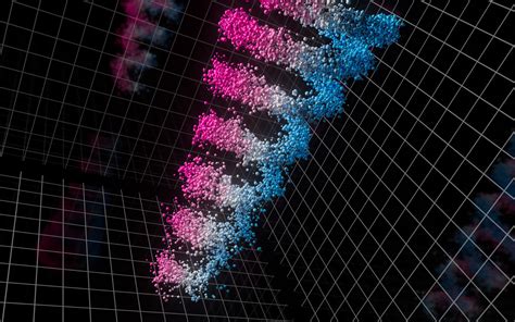 Quantum Tornado Discovered in Momentum Space