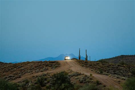 Alienation Real Estate 的图像结果