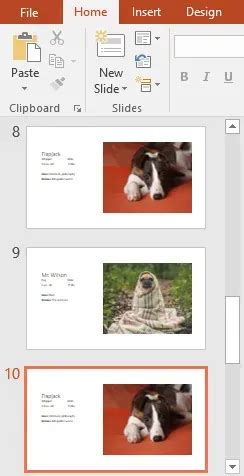 Understanding Slide Basics in PowerPoint