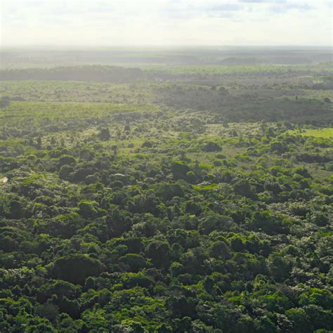 Apple Stories - Newsroom - Apple (IN)