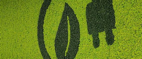 EV penetration in India auto sales grows to over 6% percent in CY2023 ...