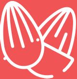 Cranberry, Cashew & Almond | Snack Bar | Wild Date