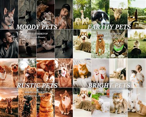 800+ PETS Presets, Dog LIGHTROOM Presets, Cat Mobile Presets, Animal ...