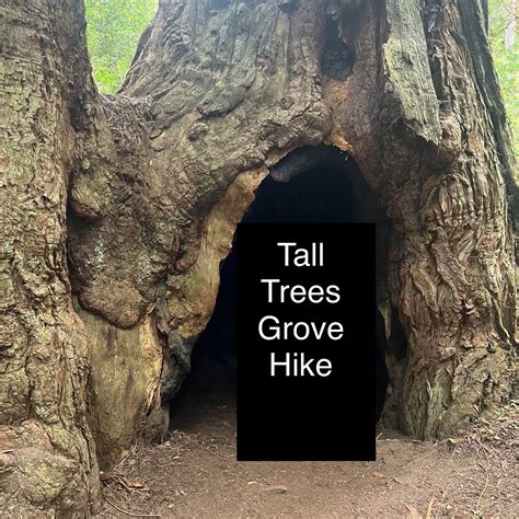 Build Your Own Wiffle Ball Strike Zone