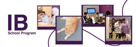 IB Program 的图像结果