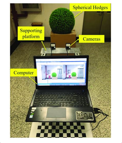 Human Visual System Binocular 的图像结果