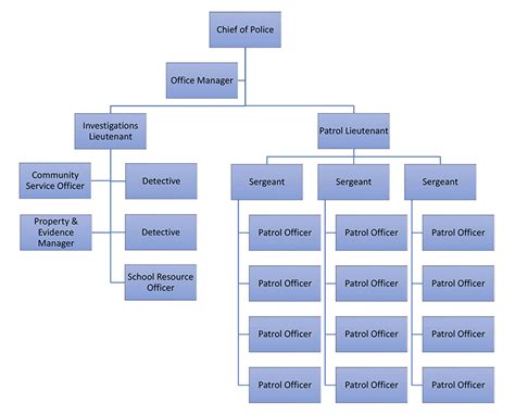 Image result for Police Command Structure
