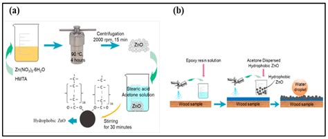 Nature-Inspired Superhydrophobic Coating Materials: Drawing Inspiration ...
