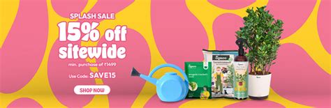 Brahma Kamal Flower - Everything You Need to Know – Ugaoo