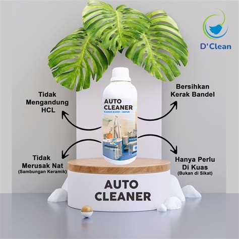 Auto Cleaner 的图像结果