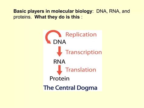 BASICS OF MOLECULAR BIOLOGY | PPT
