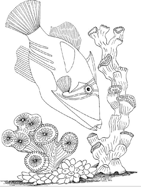 Ecosystem Drawing 的图像结果