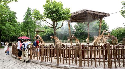 2020上海动物园-旅游攻略-门票-地址-问答-游记点评，上海旅游旅游景点推荐-去哪儿攻略