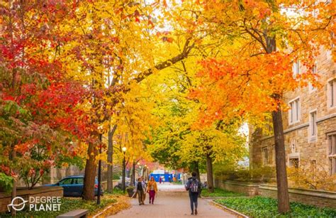 Image result for PsyD Programs Ranking