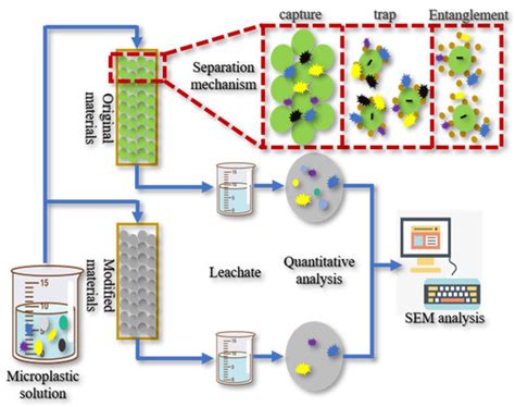 Microplastics in the Environment: A Review Linking Pathways to ...
