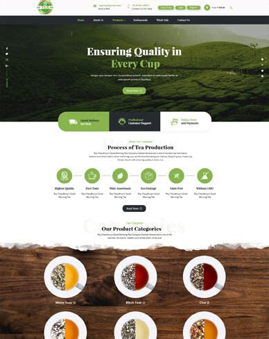 Website Design Portfolio | Next Screen