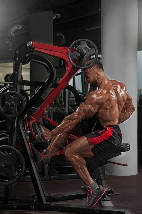 Image result for Seated Back Workout Machine