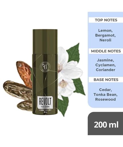 Body Deodorant for Men, (Pack of 2) - 200ml Each | Revolt, Social ...
