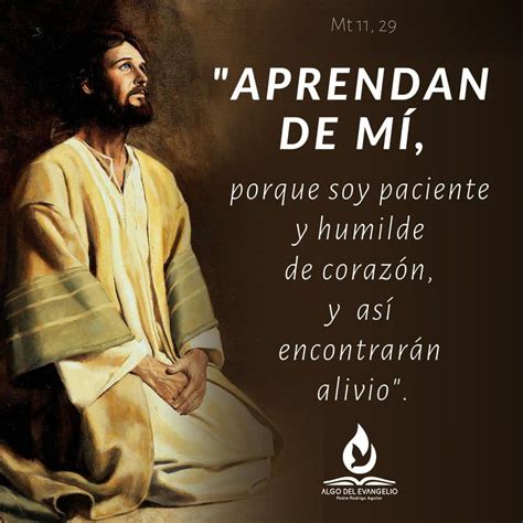 Mateo 11, 28-30 - II Miércoles de adviento - Memoria de San Juan Diego ...