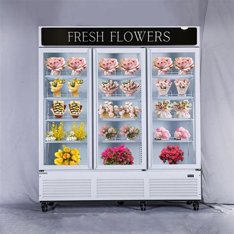 Amazon.com: NAFCOOL Commercial Refrigerator Floral Beverage Display ...