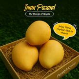 Premium Farm Fresh Mangoes (100% Carbide Free) – PurelyNative