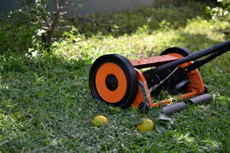 Mexican Lawn Mower Stock Photos, Pictures & Royalty-Free Images - iStock