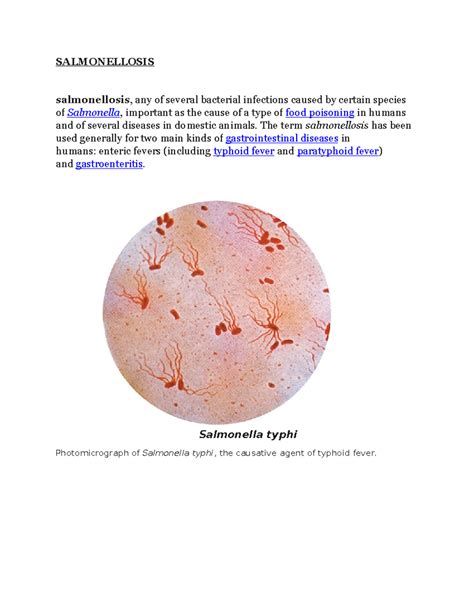 Salmonellosis - #pathology #bacterial infection #salmonella #causes # ...