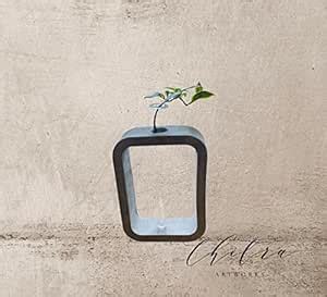Chitra Artworks_Artificial Plant with Pot | Concrete Pot | Cement Pot ...