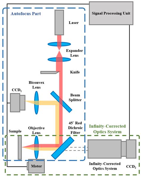 Innovative Image Processing Method to Improve Autofocusing Accuracy