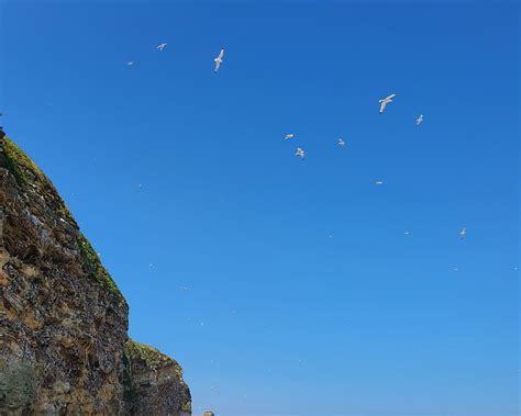 THE 30 BEST Places to Visit in South Shields (2025)