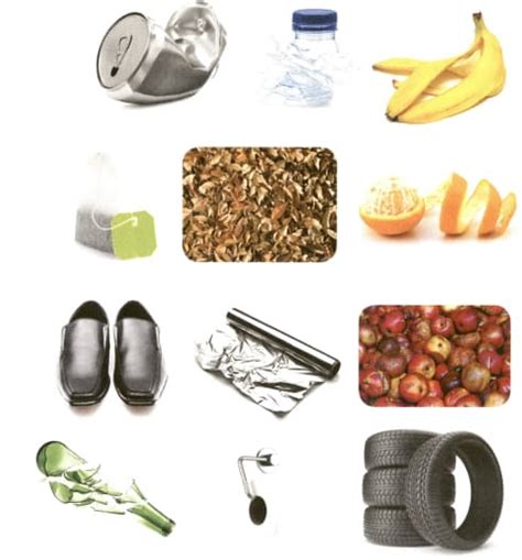 Image result for Biodegradable Waste Example