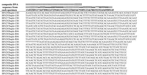 Image result for Paup 4 Example of Data File