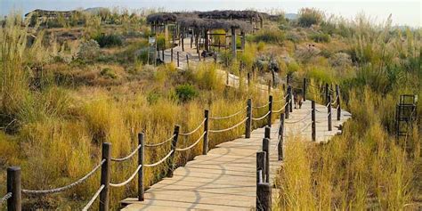 SD Construction & Engineers Pvt.Ltd - Professional Construction Services