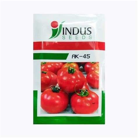 Buy Indus AK-45 Tomato Seeds for Efficient Farming and High Yield ...