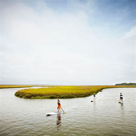 AMELIA ISLAND NATURE CENTER (2026) All You Need to Know BEFORE You Go ...