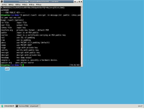 How to Pull RSA Token From EXEFile 的图像结果