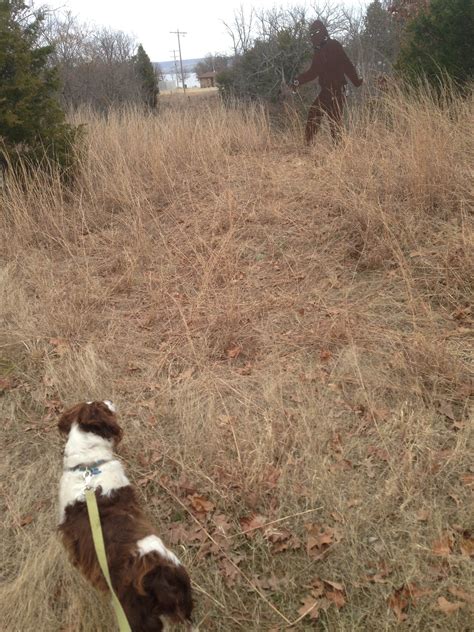 Arrowhead State Park—Lake Eufaula Camping | The Dyrt