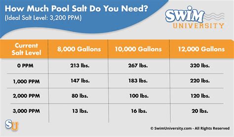 Image result for Adding Salt to Pool