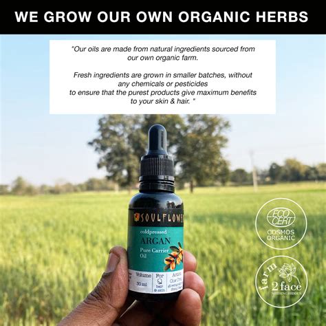 Cold Pressed Moroccan Argan Oil