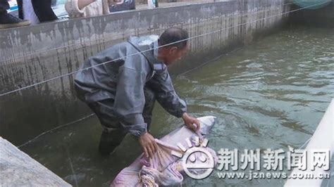荆州冬季捕鱼开始了_荆州新闻网_荆州权威新闻门户网站