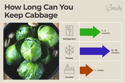 How to Tell If Cabbage Is Bad? - Beezzly