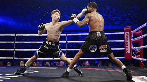 Pro Boxing Boxers 的图像结果