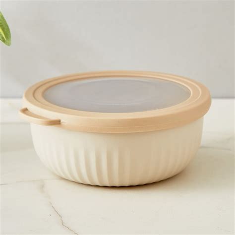 Buy Omnis Aruba 4Pcs Polypropylene Storage Containers from Home Centre ...