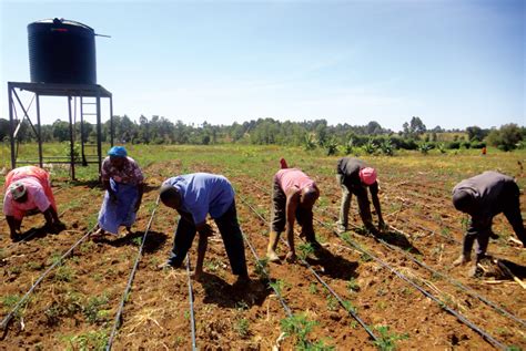 Management of Natural Resources 的图像结果