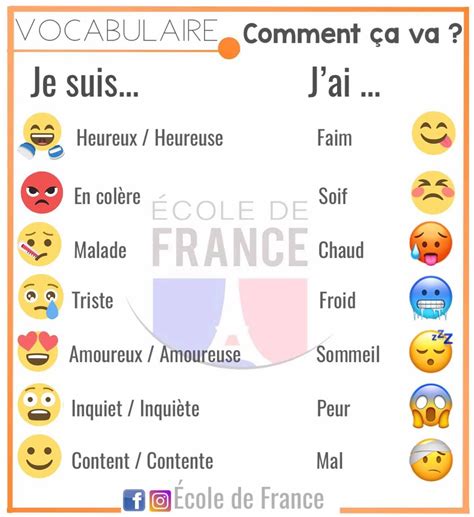 the french language is used to describe what people are talking in ...