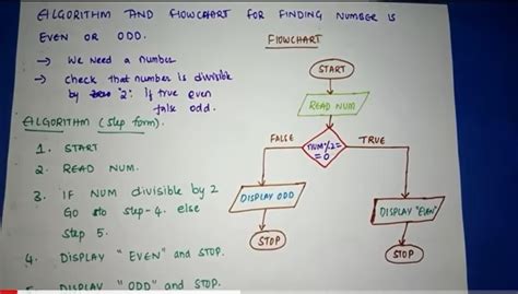 [Expert Verified] Draw a flowchart to check whether a number is even or ...