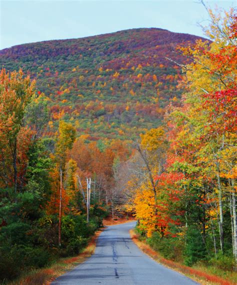 Autumn Capitalized - JuliagroKrueger