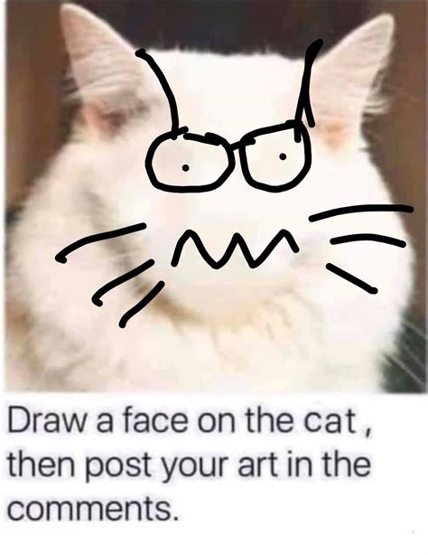 Mawddach Beast:Point To Point MTB Social, Canolfan a Caffi Prysor ...