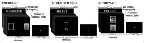 Multiple Object Tracking Task fMRI 的图像结果